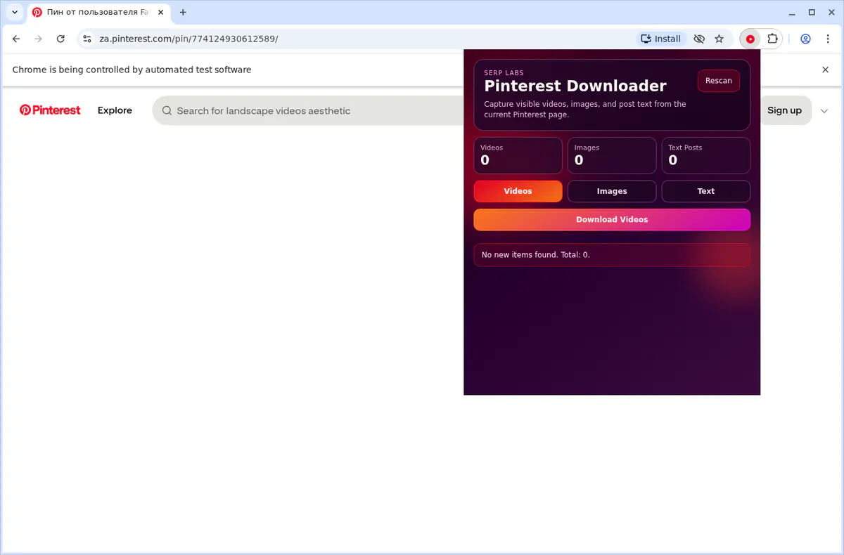 Pinterest Video Downloader browser extension screenshot 3